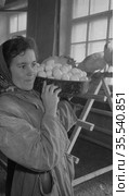 Девушка в темном халате с платком на голове идёт по курятнику с яйцами в тазу, стойка из дерева для курей и петухов на заднем плане, Алданский район, Якутия, 1960-е годы. Редакционное фото, фотограф Варфоломей Тетерин / Фотобанк Лори