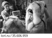 Две женщины работают на звероводческой ферме, одна из них примеряет капюшон сделанный из ценного меха, производство одежды из пушнины, Лорино, Чукотка, 1970. Редакционное фото, фотограф Варфоломей Тетерин / Фотобанк Лори