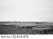 Территория звероводческая фермы с большим количеством деревянных загонов для пушных зверьков, разведение животных с целью получения пушнины, Лорино, Чукотка, 1970. Стоковое фото, фотограф Варфоломей Тетерин / Фотобанк Лори