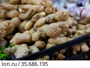 Closeup of raw ginger roots. Стоковое фото, фотограф Яков Филимонов / Фотобанк Лори
