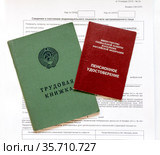 Трудовая книжка, пенсионное удостоверение и выписка из индивидуального лицевого счета застрахованного лица (2021 год). Редакционное фото, фотограф Дудакова / Фотобанк Лори