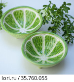 Ceramic cup in the form of half a lime (2021 год). Редакционное фото, фотограф Эльвира Рахманова / Фотобанк Лори