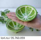 Ceramic cup in the form of half a lime (2021 год). Редакционное фото, фотограф Эльвира Рахманова / Фотобанк Лори