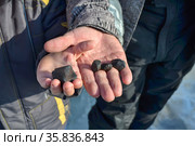 Фрагменты Челябинского метеорита нашли зимой  2013 года недалеко от города Чебаркуль. Стоковое фото, фотограф Александр Бушков / Фотобанк Лори
