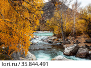 Autumn view of the Bolshoy Ilgumen river at its confluence with river the Katun. Altai Republic, Russia. Стоковое фото, фотограф Наталья Волкова / Фотобанк Лори