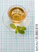 Spearmint. Стоковое фото, агентство Ingram Publishing / Фотобанк Лори