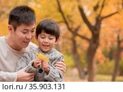 Father and son looking at leaf in the park in the autumn. Стоковое фото, агентство Ingram Publishing / Фотобанк Лори