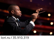 Young conductor with baton raised at a performance . Стоковое фото, агентство Ingram Publishing / Фотобанк Лори