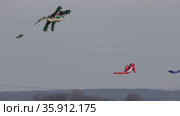 High in the sky flying a kite in the shape of crocodiles (2021 год). Редакционное видео, видеограф Gennadij Eichhorn / Фотобанк Лори