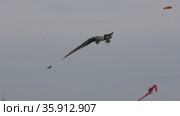 Kites soar high in the sky (2021 год). Редакционное видео, видеограф Gennadij Eichhorn / Фотобанк Лори
