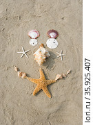 Starfish and shells. Стоковое фото, фотограф Shannon Fagan / Ingram Publishing / Фотобанк Лори