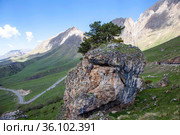 В верховьях Джейрахского ущелья. Республика Ингушетия. Стоковое фото, фотограф Сергей Афанасьев / Фотобанк Лори