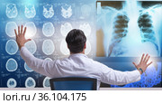 Male doctor looking at MRI scans. Стоковое фото, фотограф Elnur / Фотобанк Лори