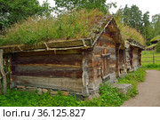 Norwegian Museum of Cultural History. Dugouts with overgrown grass and plants roof (2016 год). Редакционное фото, фотограф Валерия Попова / Фотобанк Лори