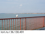 Sergeevka resort in Odessa region, Ukraine (2020 год). Редакционное фото, фотограф Sergii Zarev / Фотобанк Лори
