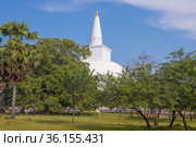 Вид на вершину древней Ruwanwelisaya Stupa солнечным днем. Анурадхапура, Шри-Ланка (2020 год). Стоковое фото, фотограф Виктор Карасев / Фотобанк Лори