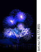 Beautiful fireworks in night sky. Стоковое фото, фотограф ElenArt / Фотобанк Лори
