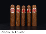Romeo y Julieta cuban cigars (2019 год). Редакционное фото, фотограф Julio Rivalta / Фотобанк Лори