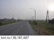 Утренняя дорога в поселок. Стоковое фото, фотограф Елена Дмитриева / Фотобанк Лори
