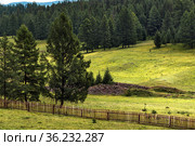 Пазырыкские погребения - курганы скифского типа, курганы-тумулусы. Улаганский район республики Алтай. Стоковое фото, фотограф Евгений Мухортов / Фотобанк Лори
