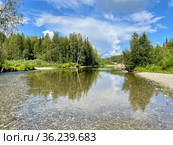Река Ушма, правый приток Лозьвы. Россия, Северный Урал. Стоковое фото, фотограф Овчинникова Ирина / Фотобанк Лори