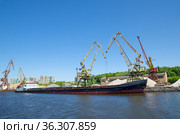 Канал имени Москвы. Портовые краны и баржа на Северном речном вокзале в Москве, Россия (2021 год). Стоковое фото, фотограф Елена Коромыслова / Фотобанк Лори