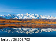 View of lake Dzhangyskol and the north Chui ridge and their reflection in the lake in autumn, Yeshtykel tract. Russia, Altai republic. Стоковое фото, фотограф Наталья Волкова / Фотобанк Лори