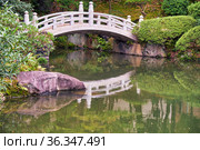 Kyu-yasuda garden, a small japanese stroll garden located in Ryogoku. Tokyo. Japan (2019 год). Стоковое фото, фотограф Сергей Пристяжнюк (Serg Zastavkin) / Фотобанк Лори