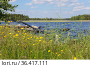 Деревня Руга. Республика Карелия (2018 год). Стоковое фото, фотограф Дмитрий Шишков / Фотобанк Лори