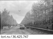 Городской пейзаж Алдана, асфальтированная дорога в центре города с раскопанной траншеей на обочине и деревянным мостиком для пешеходов, Якутия, июнь 1965. Стоковое фото, фотограф Варфоломей Тетерин / Фотобанк Лори