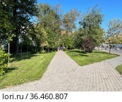 Сквер на Серебрянической набережной в Москве (2021 год). Стоковое фото, фотограф Овчинникова Ирина / Фотобанк Лори