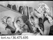 Молодая женщина примеряет меховой капюшон на маленькую девочку, ребёнок улыбается и смотрится в зеркало, село Уэлен, Чукотка, 1970 год. Редакционное фото, фотограф Варфоломей Тетерин / Фотобанк Лори