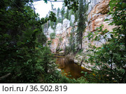 Карстовые ландшафты и река Карьяла. Россия, Архангельская область, Пинежский район. Стоковое фото, фотограф Яковлев Сергей / Фотобанк Лори