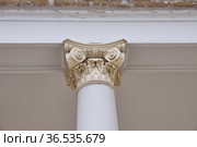 Москва. Усадьба "Люблино" (дворец Н.А.Дурасова). Колонна, фрагмент (2021 год). Редакционное фото, фотограф Илюхина Наталья / Фотобанк Лори