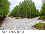 Парк Победы. Гальяно-Горбуновский массив. Нижний Тагил. Свердловская область (2021 год). Стоковое фото, фотограф Сергей Афанасьев / Фотобанк Лори