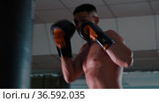 Shirtless young man boxer training with a punching bag in the gym. Стоковое видео, видеограф Константин Шишкин / Фотобанк Лори