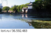 Video of Kokyo Otemon Gate reflecting in the water of Kikyobon moat around the Tokyo Imperial Palace. Tokyo. Japan (2021 год). Редакционное видео, видеограф Сергей Пристяжнюк (Serg Zastavkin) / Фотобанк Лори