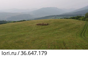 Алтай. Горный луг. Круглый тюк сена. Вид с воздуха. Altay. Mountain meadow. Baled grass hay. Aerial view. Стоковое видео, видеограф Евгений Романов / Фотобанк Лори