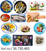 Assorted dishes from small fish - sprat, hamsa, anchovy, sardines. Стоковое фото, фотограф Яков Филимонов / Фотобанк Лори