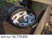 Fish fried in a frying pan on a wood-burning stove. Стоковое фото, фотограф Круглов Олег / Фотобанк Лори
