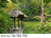 Wagner Cove, one of Central Park lesser-known treasures. This small location on edge of Lake with rustic shelter with two wooden benches. New York City (2021 год). Стоковое фото, фотограф Валерия Попова / Фотобанк Лори