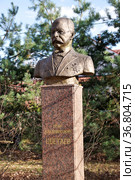 Бюст И.В.Цветаева - основателя ГМИИ имени А. С. Пушкина. Таруса, Калужская область (2021 год). Редакционное фото, фотограф Илюхина Наталья / Фотобанк Лори