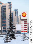 Panel with prices in rubbles is at the gas station of the Shell company in city street. Winter season. Shell is largest oil company in the world. Saint-Petersburg, Russia (2021 год). Редакционное фото, фотограф Кекяляйнен Андрей / Фотобанк Лори