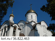 Церковь Воскресения Христова. Октябрьская улица, 2. Поселок Быково. Раменский район. Московская область (2011 год). Стоковое фото, фотограф lana1501 / Фотобанк Лори