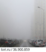 Москва, микрорайон Марфино, СВАО. Город затянут плотным туманом. Фары едущей машины едва различимы (2021 год). Редакционное фото, фотограф Наталья Николаева / Фотобанк Лори