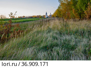 Россия, Московская область, Можайский район, местность вокруг Колоцкого монастыря (2021 год). Стоковое фото, фотограф glokaya_kuzdra / Фотобанк Лори