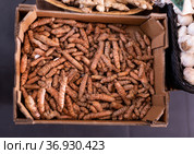 Dried turmeric rhizomes in cardboard box for sale. Стоковое фото, фотограф Яков Филимонов / Фотобанк Лори
