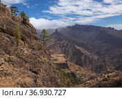 Gran Canaria, landscape of the central montainous part of the island, Las Cumbres, ie The Summits, hiking route to Altavista, aboriginal name Azaenegue, mountain in Artenara municipality (2021 год). Стоковое фото, фотограф Tamara Kulikova / Фотобанк Лори