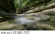 Кавказские горы. Каньон реки Кудепста. Субтропический лес. The Caucasus Mountains. Kudepsta River Canyon. Subtropical forest. Стоковое видео, видеограф Евгений Романов / Фотобанк Лори