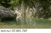 Кавказские горы. Каньон реки Кудепста. Субтропический лес. The Caucasus Mountains. Kudepsta River Canyon. Subtropical forest. Стоковое видео, видеограф Евгений Романов / Фотобанк Лори